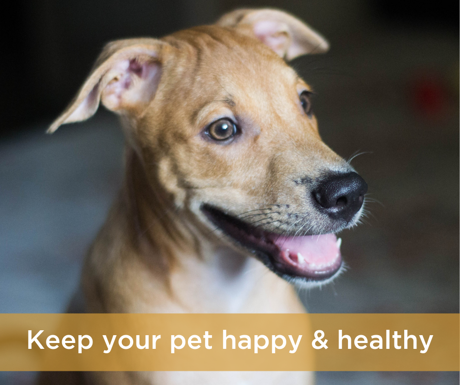 The Truth About Grains