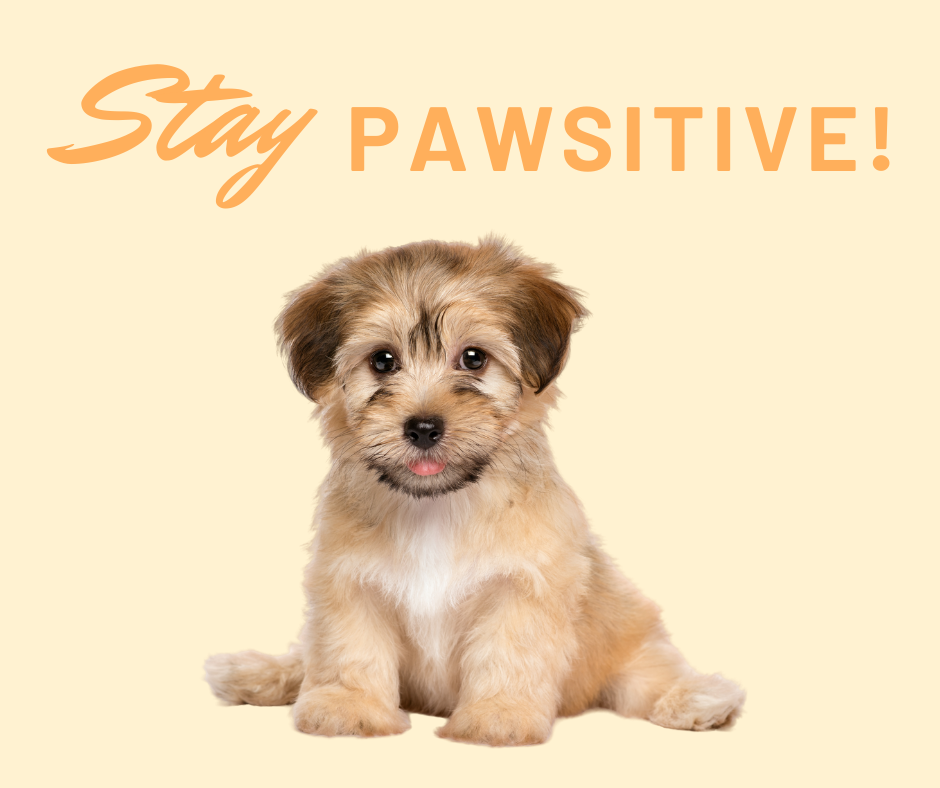 Acana response to fda Clearance