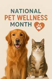 October is National Pet Adoption Month and National Pet Wellness Month