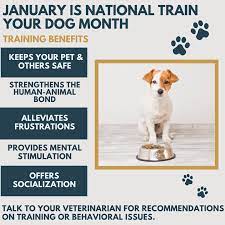 January is National Train Your Dog Month!