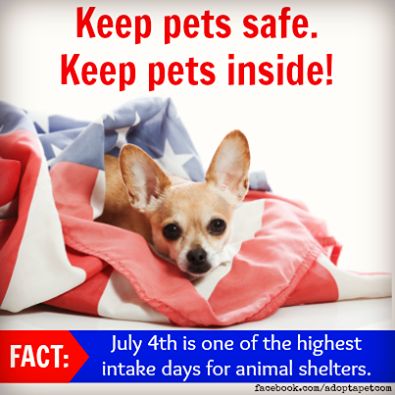 Fourth of July Pet Saftey Tips