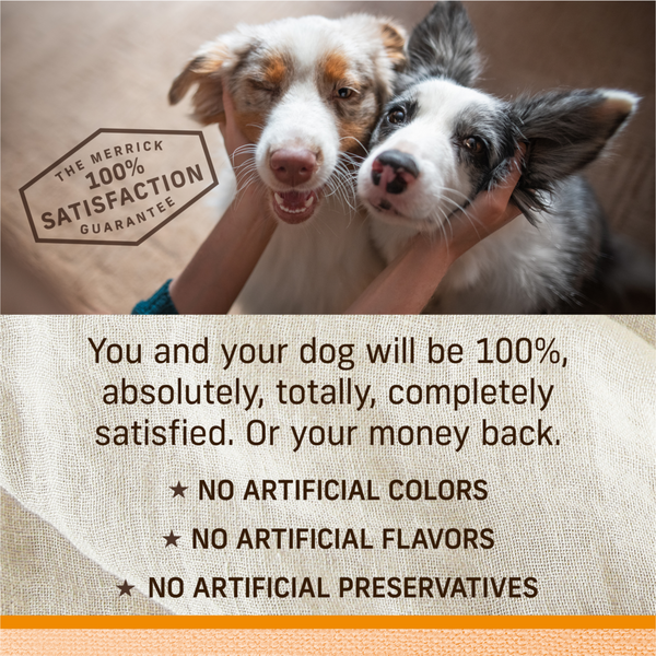 Merrick Lil' Plates Adult Small Breed Grain Free Petite Pot Pie Canned Dog Food