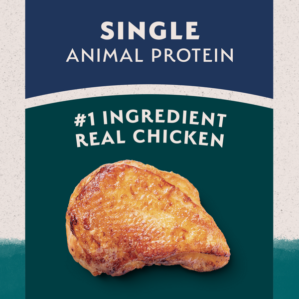 Natural Balance Limited Ingredient Chicken & Brown Rice Recipe Dry Dog Food