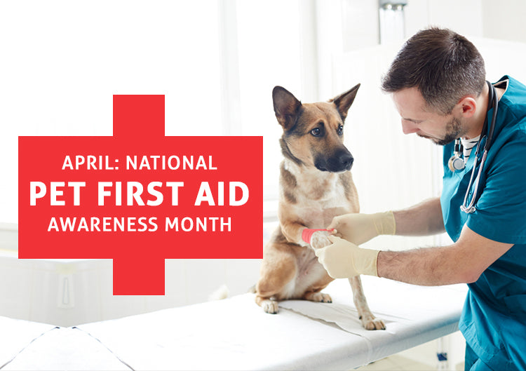Pet First Aid Awareness Month