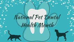 February is National Pet Dental Health Month