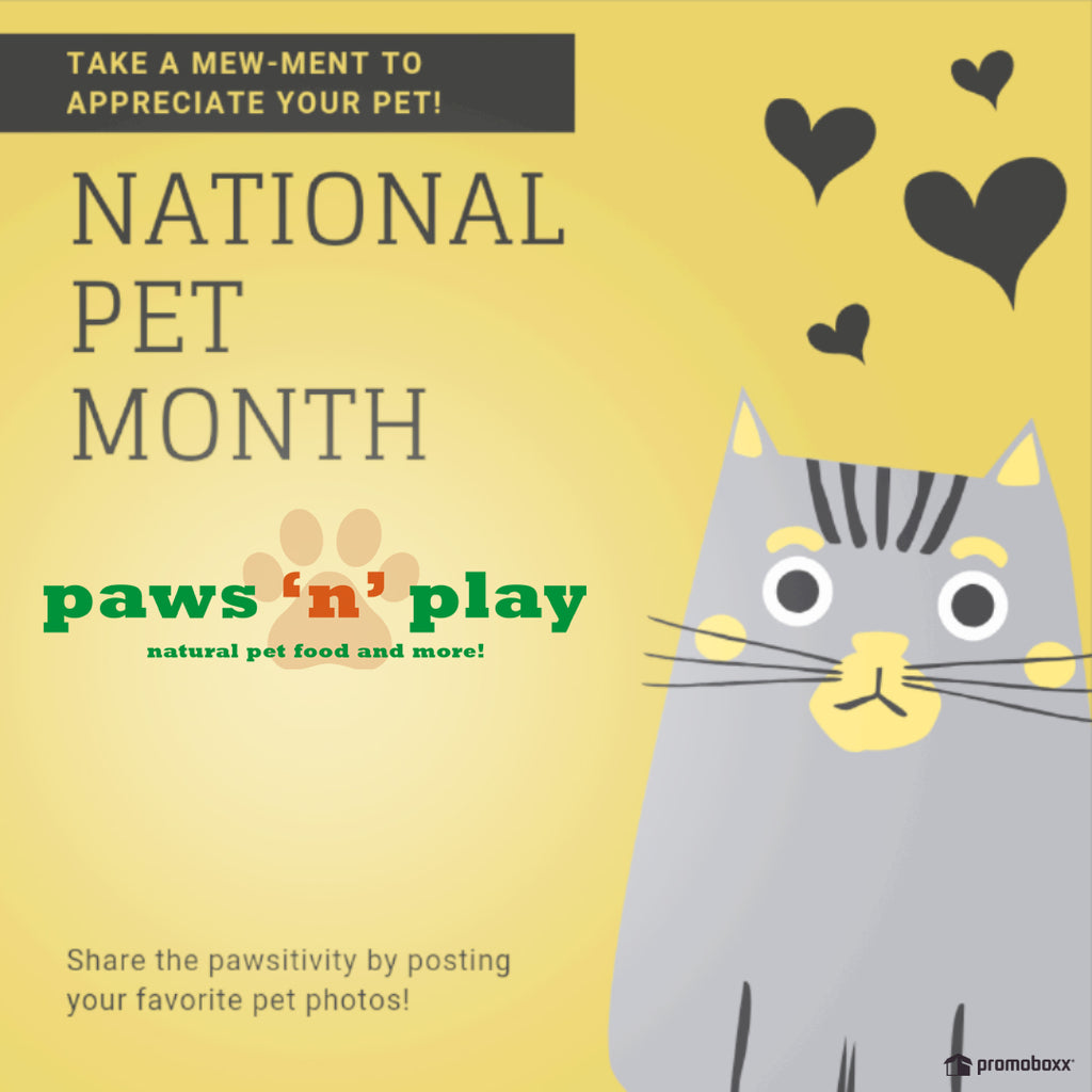 May is National Pet Month