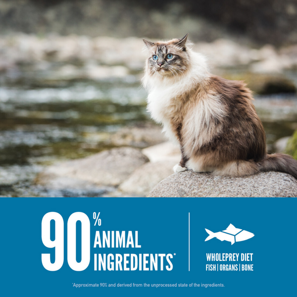 ORIJEN Grain Free Six Fish Dry Cat Food