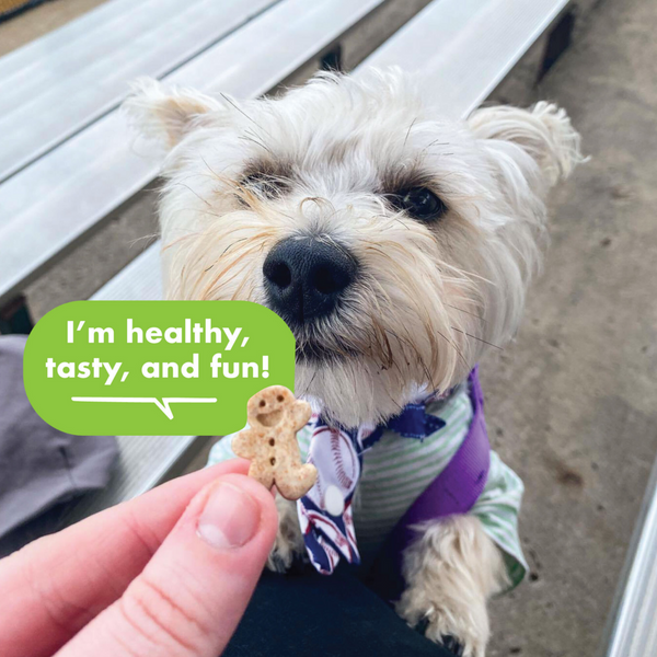 Buddy Biscuits Crunchy Roasted Chicken Dog Treats