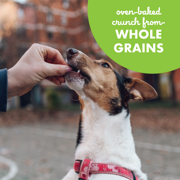 Buddy Biscuits Crunchy Roasted Chicken Dog Treats