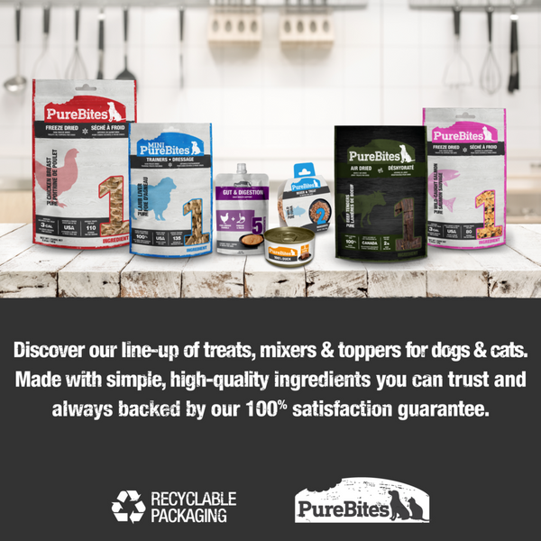 PureBites Freeze Dried Beef jerky Dog Treats