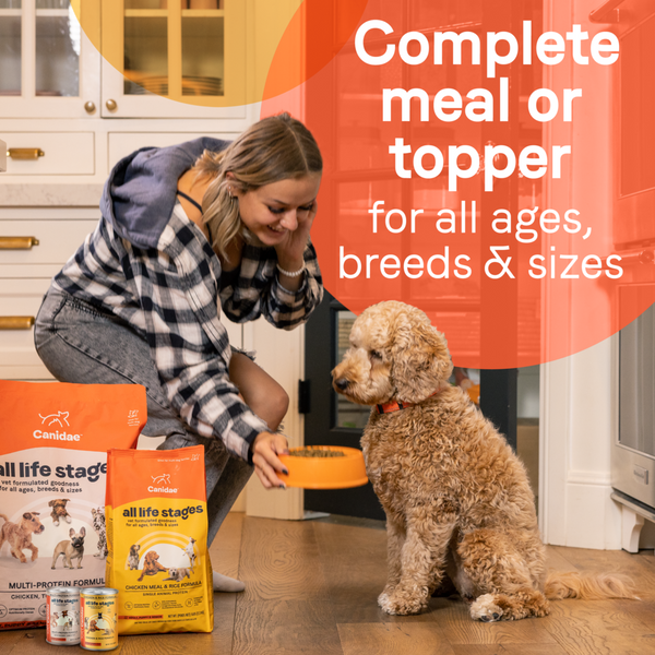 Canidae All Life Stages Wet Dog Food, Chicken & Rice Formula, 13 oz.