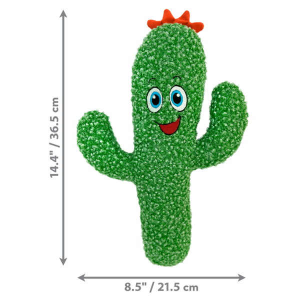Kong Kickeroo Cactus Cat Toy