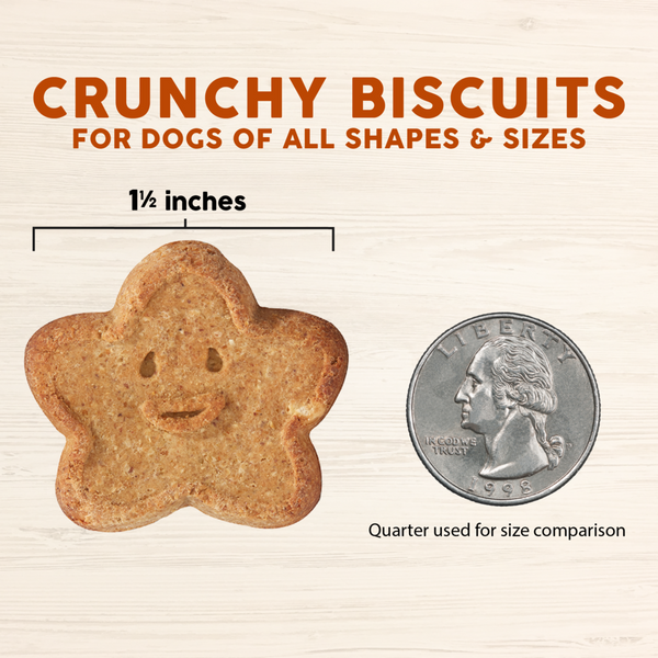 Cloud Star Wag More Bark Less Crunchy Grain Free Peanut Butter & Apples Dog Treats