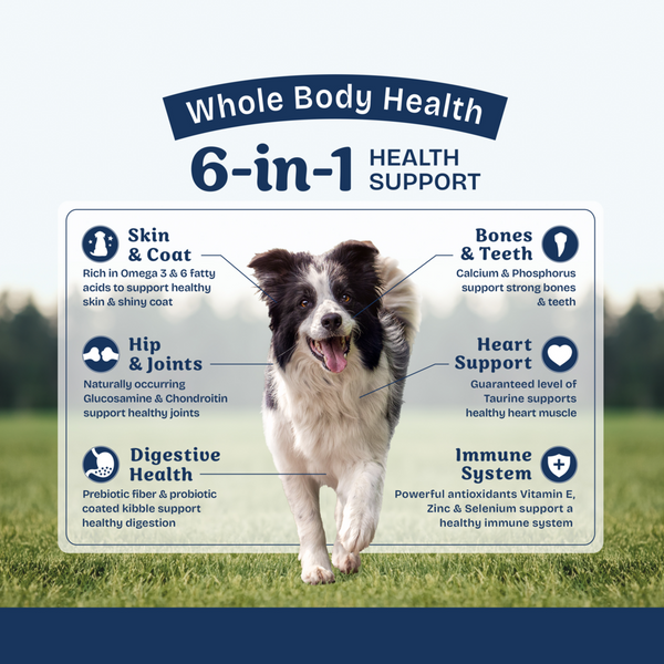 Natural Balance Health Protection Dry Dog Food, Lamb, Brown Rice & Pumpkin Recipe
