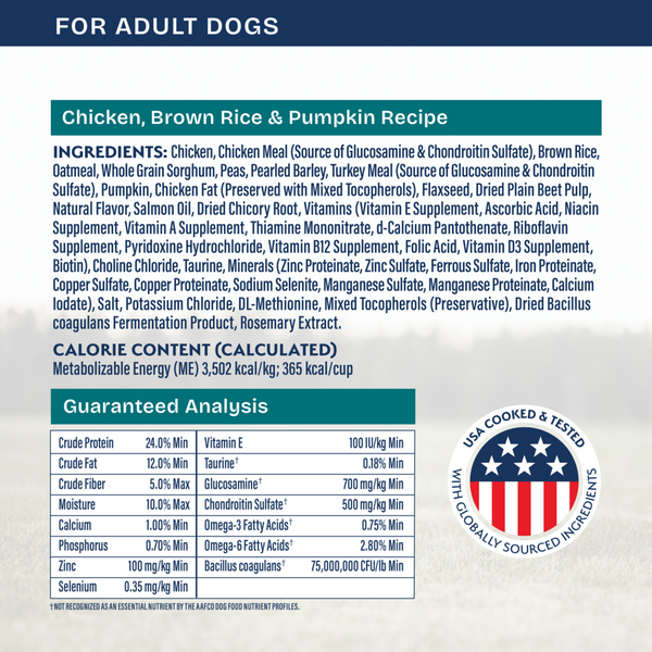 Natural Balance Health Protection Dry Dog Food, Chicken, Brown Rice & Pumpkin Recipe