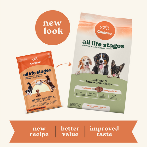 Canidae All Life Stages Dry Dog Food, Real Lamb & Ancient Grains Recipe
