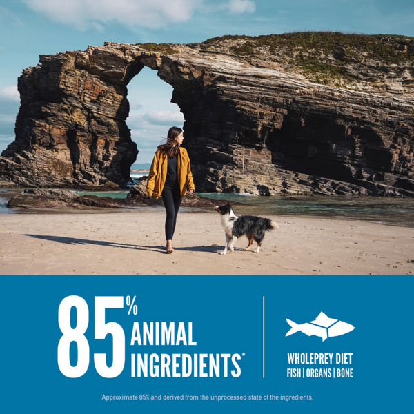 ORIJEN Six Fish Dry Dog Food