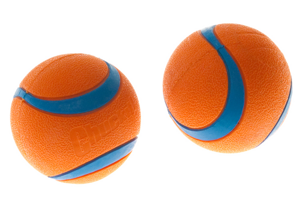 Chuckit! Ultra Ball Dog Toy