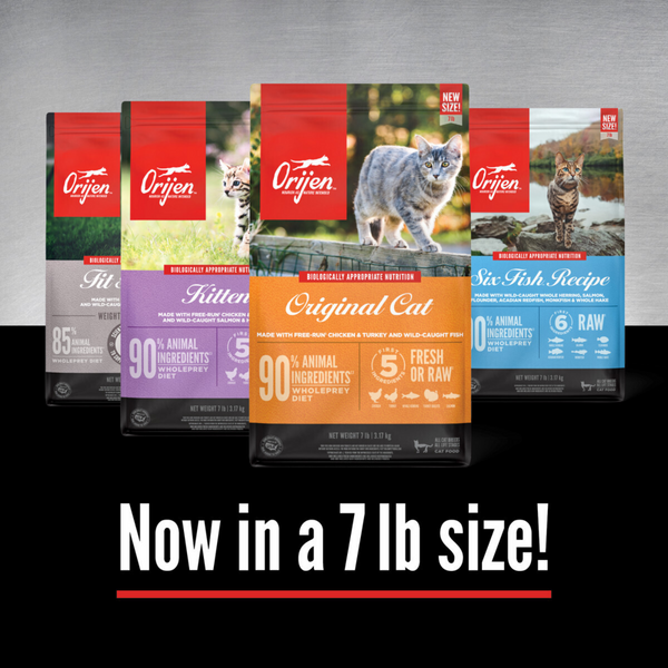 ORIJEN Grain Free, Premium, High Protein, Fresh & Raw Animal Ingredients Dry Kitten Food
