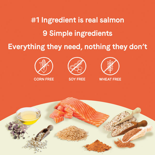 Canidae Pure Farm To Bowl Wild-Caught Salmon & Sweet Potato Recipe Dog Food