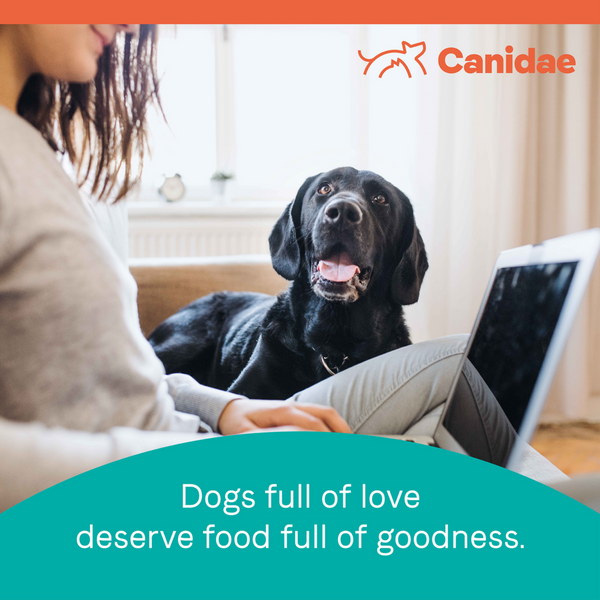 Canidae Pure Farm To Bowl Wild-Caught Salmon & Sweet Potato Recipe Dog Food