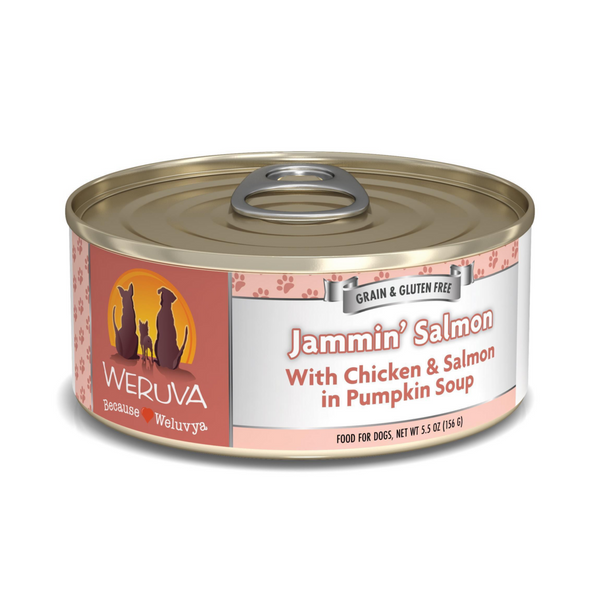 Weruva Jammin Salmon with Chicken & Salmon in Pumpkin Soup Canned Dog Food