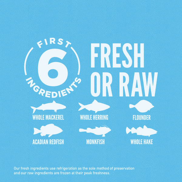 ORIJEN Grain Free, Premium, High Protein, Fresh & Raw Animal Ingredients, Six Fish Dry Cat Food