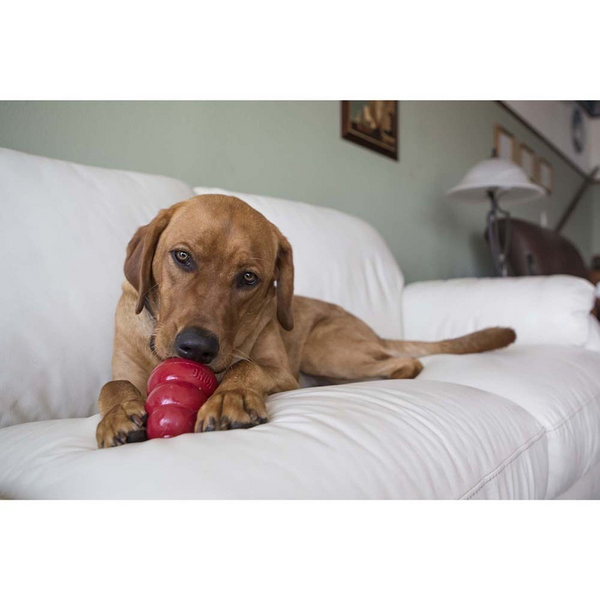 Kong Stuff'N Snacks Peanut Butter Recipe Dog Treats