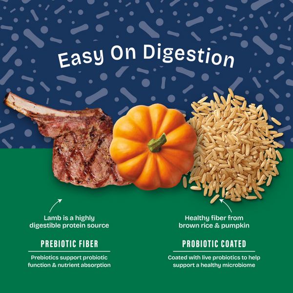 Natural Balance Health Protection Dry Dog Food, Lamb, Brown Rice & Pumpkin Recipe