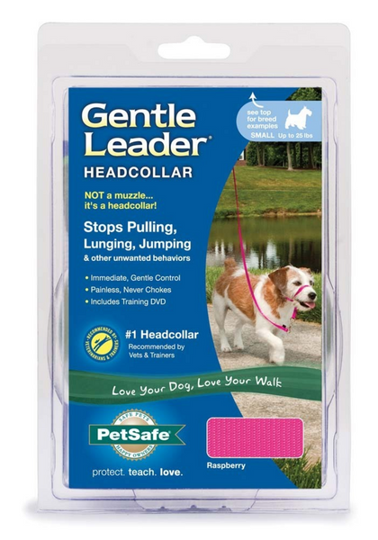 Petsafe Gentle Leader Quick Release Raspberry Headcollar for Dogs