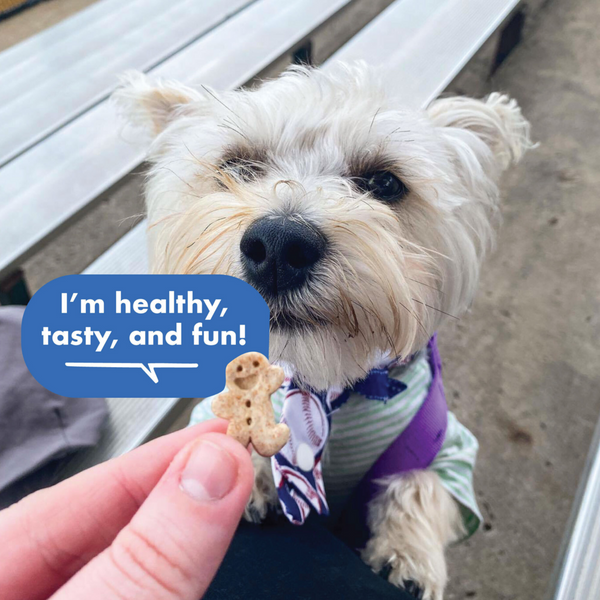 Buddy Biscuits Teeny Crunchy Bacon & Cheese Dog Treats