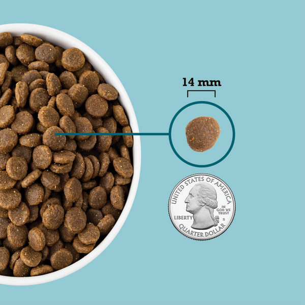Acana Freshwater Fish Recipe Dry Dog Food