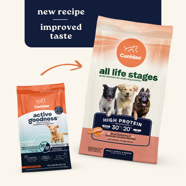 Canidae All Life Stages Dry Dog Food, High Protein Salmon Recipe, 27 lbs.