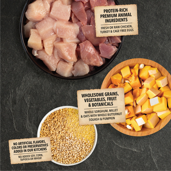 Acana Wholesome Grains Free-Run Poultry & Grains Recipe Dry Dog Food