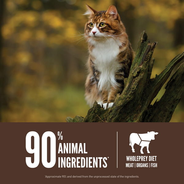Orijen Grain Free Regional Red Dry Cat Food