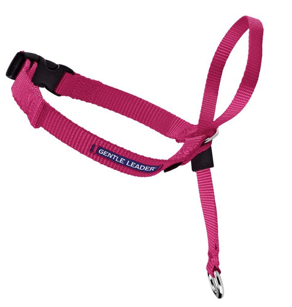 Petsafe Gentle Leader Quick Release Raspberry Headcollar for Dogs