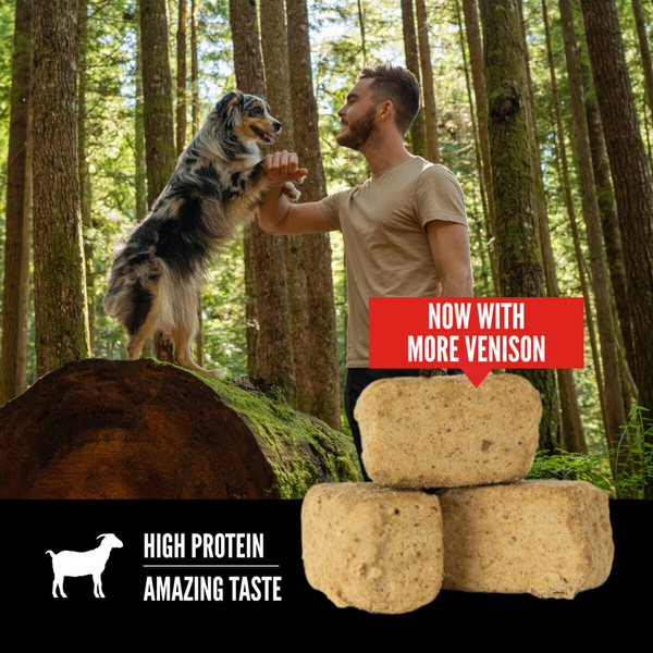Orijen Freeze Dried Tundra Dog Treats
