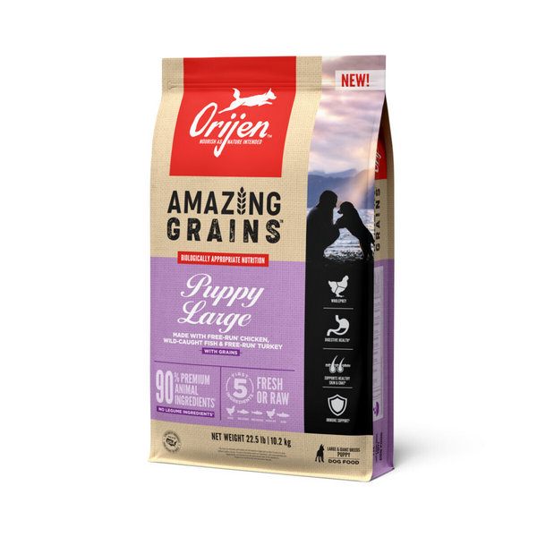 ORIJEN High Protein Amazing Grains Large Breed Puppy Dry Dog Food