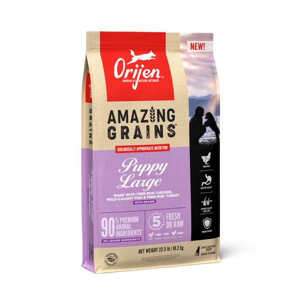 ORIJEN High Protein Amazing Grains Large Breed Puppy Dry Dog Food