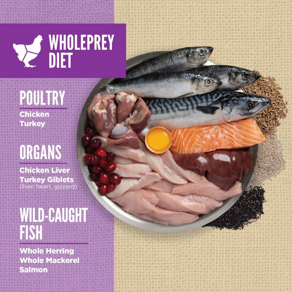 Orijen High Protein Amazing Grains Large Breed Puppy Dry Dog Food