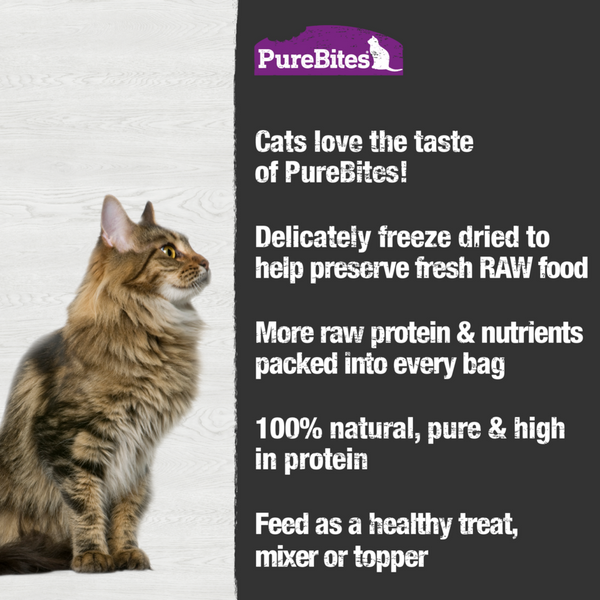 PureBites Freeze Dried Ocean Fish Cat Treats