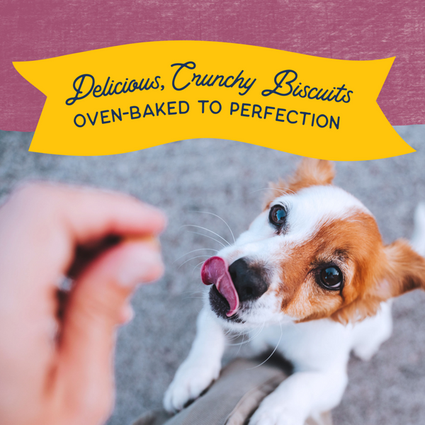 Natural Balance Rewards Crunchy Biscuits Dog Treats for Small Breeds with Real Venison
