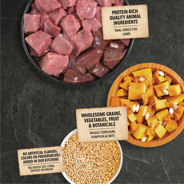 ACANA Wholesome Grains, Lamb & Pumpkin Recipe, Limited Ingredient Diet Dry Dog Food