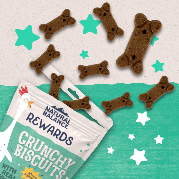 Natural Balance Rewards Crunchy Biscuits Dog Treats for Small Breeds with Real Chicken