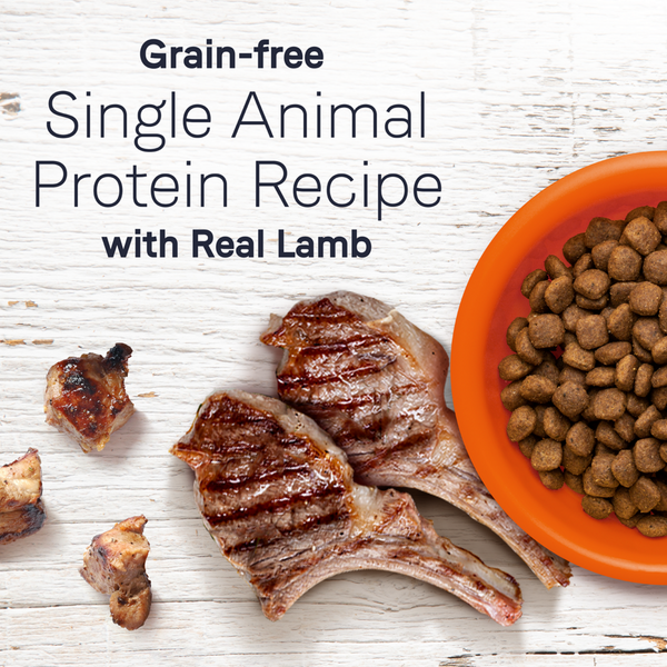 Canidae Under the Sun Grain Free Lamb Recipe Adult Dry Dog Food