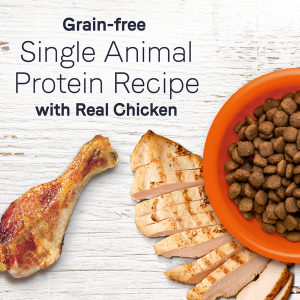 Canidae Under the Sun Grain Free Adult Chicken Recipe Dry Dog Food