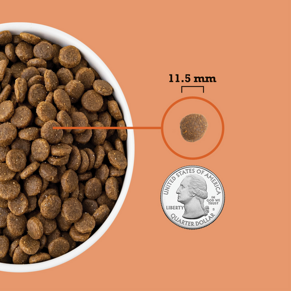 ACANA Puppy Recipe Dry Dog Food