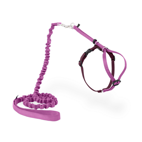 PetSafe Come with Me Kitty Dusty Rose & Burgundy Harness and Bungee Leash for Cats