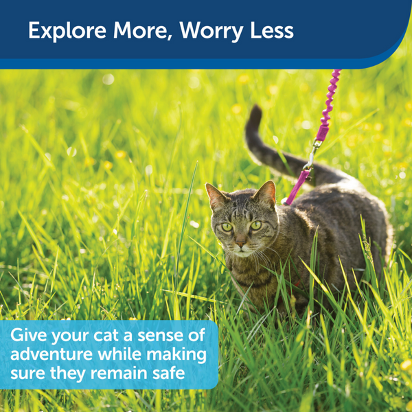 PetSafe Come with Me Kitty Dusty Rose & Burgundy Harness and Bungee Leash for Cats
