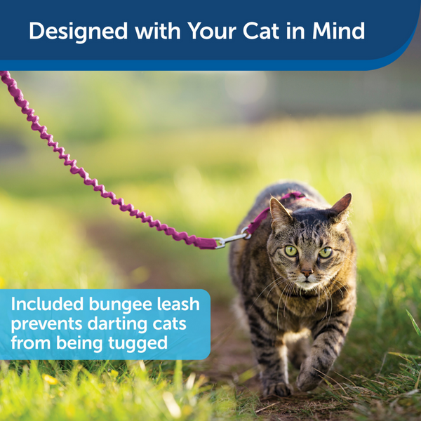 PetSafe Come with Me Kitty Dusty Rose & Burgundy Harness and Bungee Leash for Cats